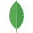 MongoDB